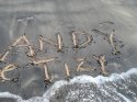 0_3059580_43587.jpg