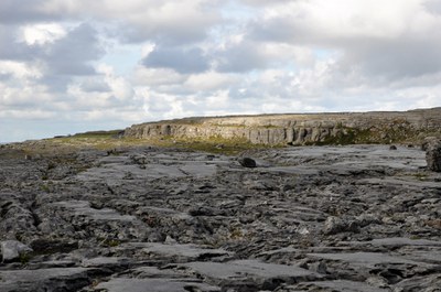 900900_0_5252568_43587.jpg