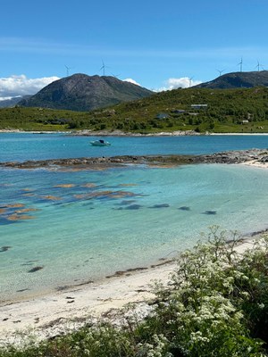 Panorama norvegese