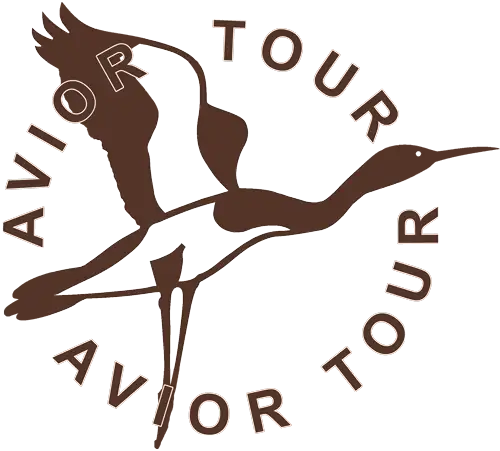 AviorTour