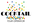 cocktail.webp