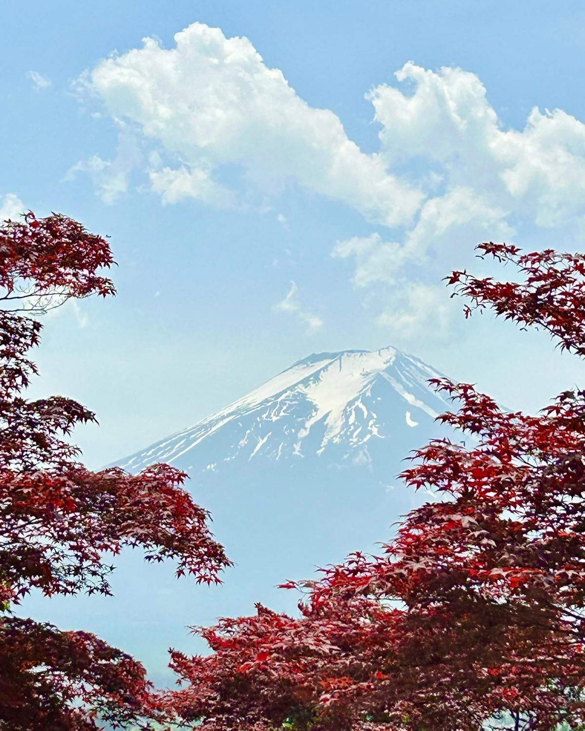 tokyo1.jpg
