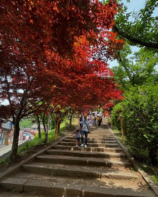 tokyo5.jpg