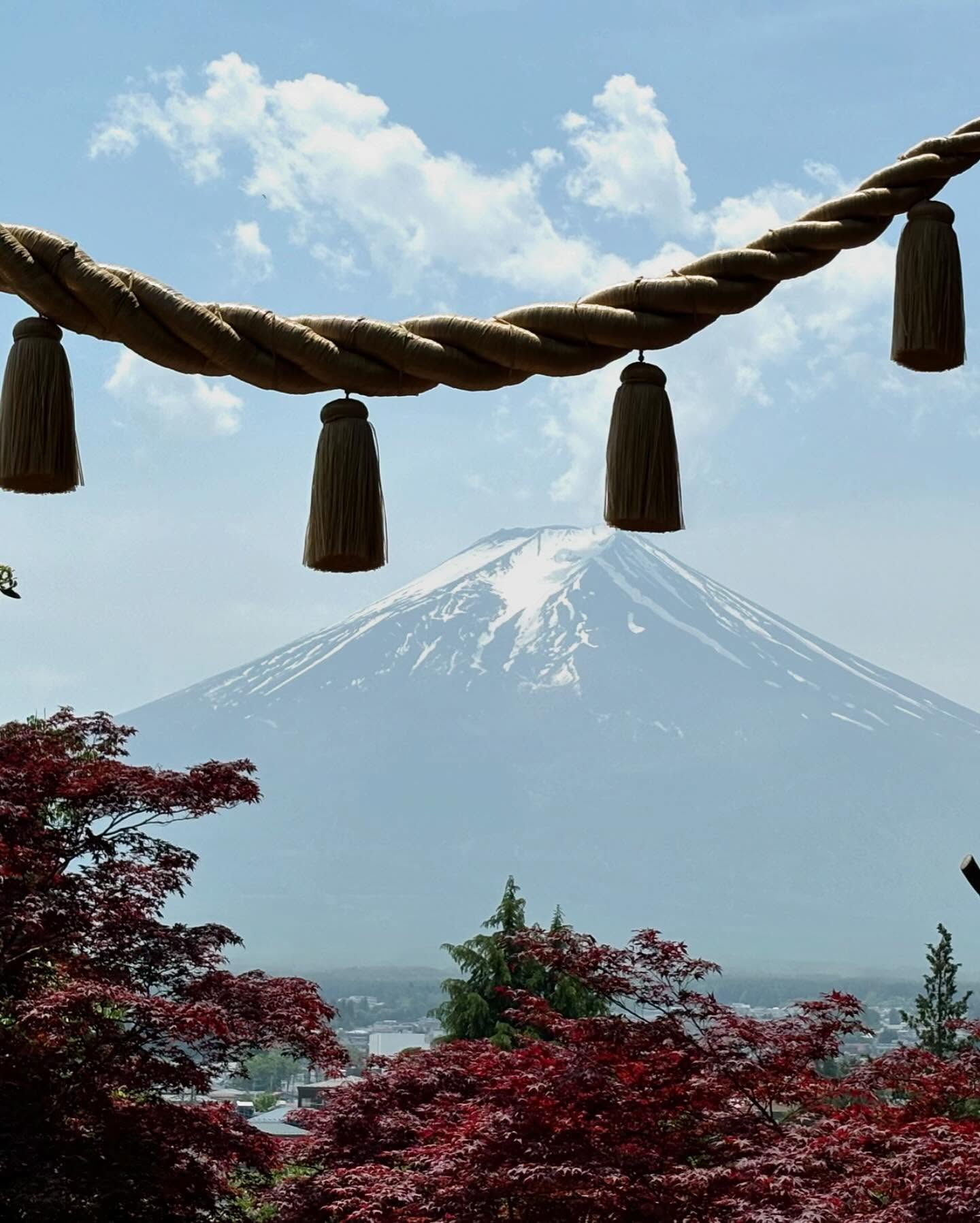 tokyo7.jpg