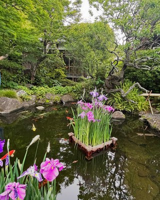 japan12.jpg