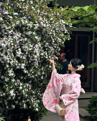 japan13.jpg
