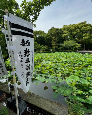 japan6.jpg