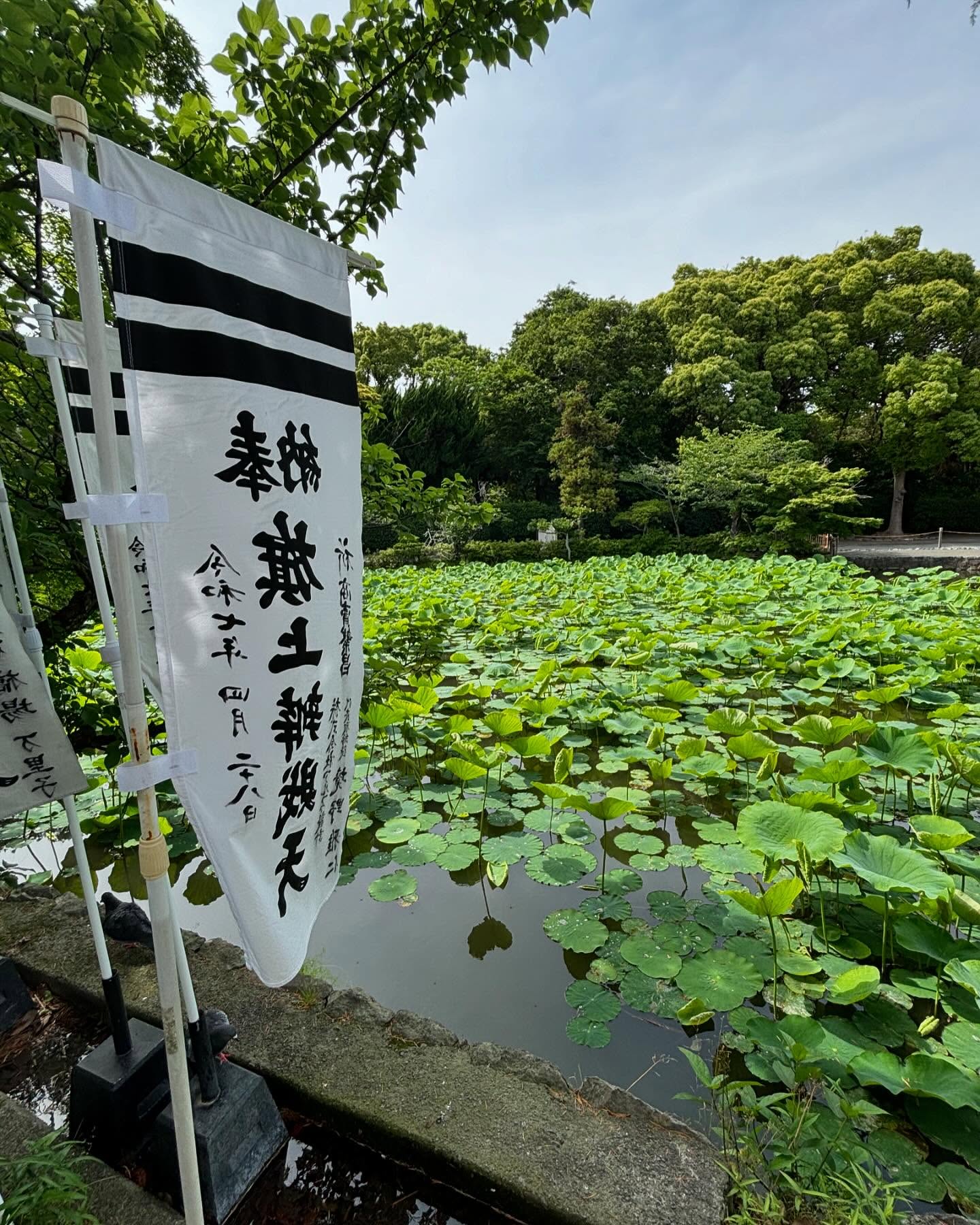 japan6.jpg