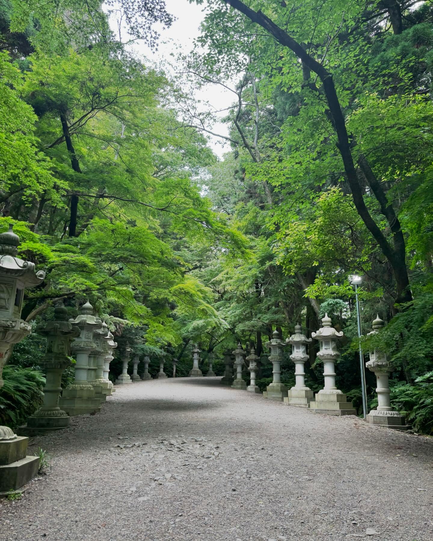 japan2.jpg