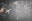 biglietteria.webp