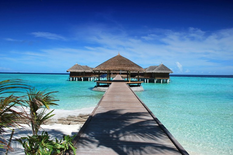 image1.webp