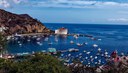 CARAIBI - catalina_island