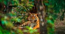 BOSCOLO IN VIAGGIO CON WWF
