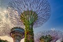 CAPODANNO A SINGAPORE E PHI PHI ISLAND - supertreegrove_singapore