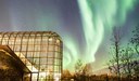LAPPONIA E BABBO NATALE - aurora_boreale