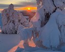 LAPPONIA FINLANDESE