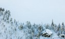 LAPPONIA FINLANDESE