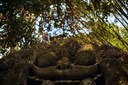 SINGAPORE E BALI - monkey_forest