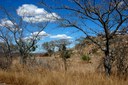 SUDAFRICA