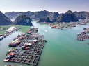 VIETNAM E CAMBOGIA - baiadihalong