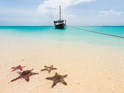 DONGWE CLUB ZANZIBAR - ESTATE - mare_zanzibar