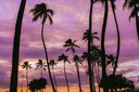HAWAII - hawaii_sunset