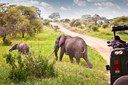 SPECIALE KENYA INVERNO 2025