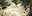 viaggi_nozze.webp